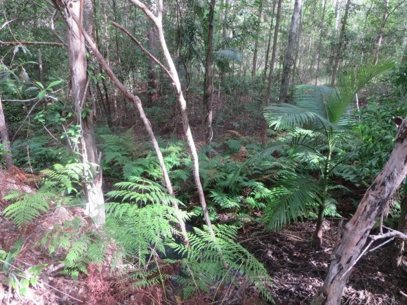 Lot 17, 38 Eucalyptus Cres, Ninderry QLD 4561