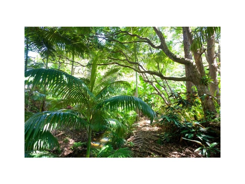 35 Reilly Road, Nambour QLD 4560