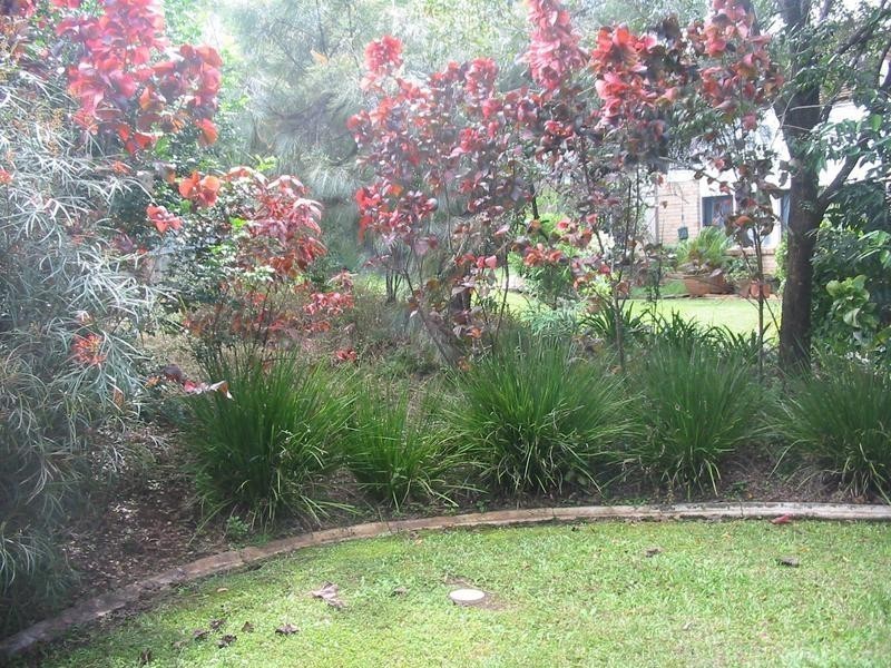 4/1 Hemdan Court, Nambour QLD 4560