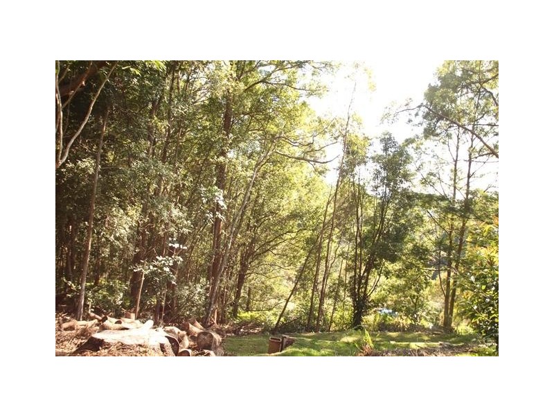 169 Panorama Drive, Rosemount QLD 4560