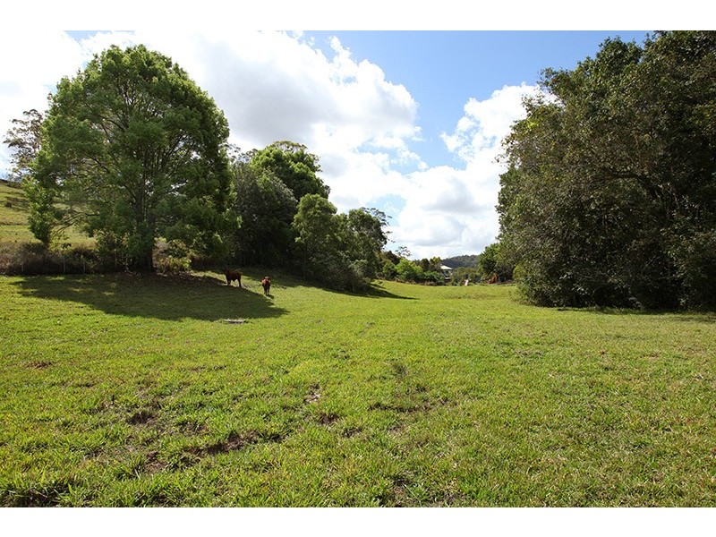 246 North Arm Road, North Arm QLD 4561