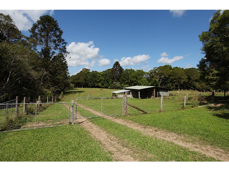 246 North Arm Road, North Arm QLD 4561