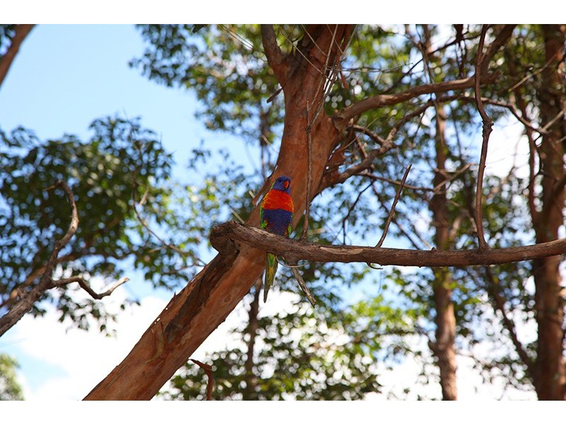 8 City View Terrace, Nambour QLD 4560