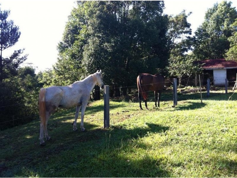 150 North Arm Road, North Arm QLD 4561