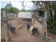 101 Kidaman Creek Rd, Kidaman Creek QLD 4574