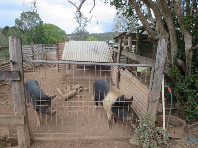 101 Kidaman Creek Rd, Kidaman Creek QLD 4574