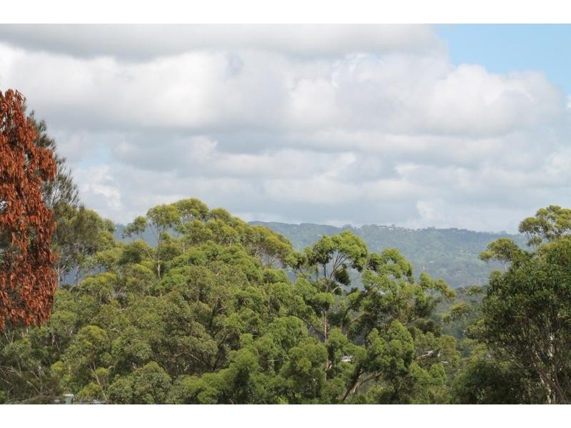 1 Wilson Lane, Woombye QLD 4559