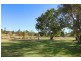 19 Tamarin Dve, Mapleton QLD 4560