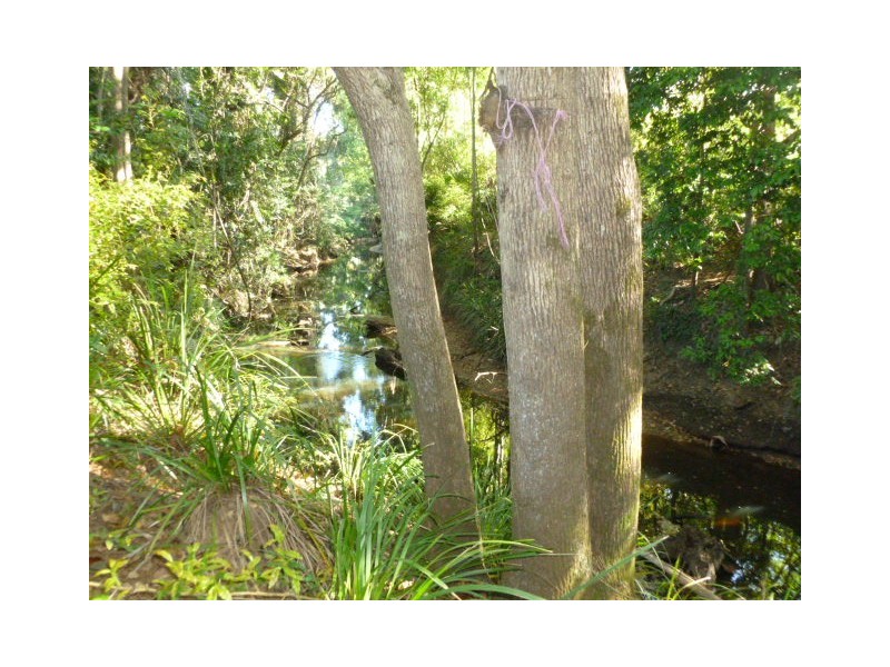 39 Hill Street, Woombye QLD 4559