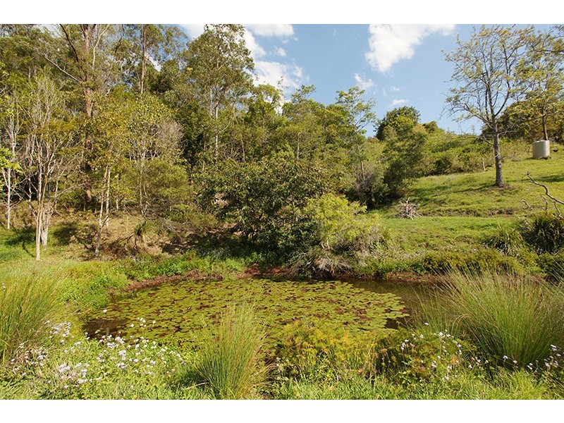 79 Thrushs Road, Dulong QLD 4560