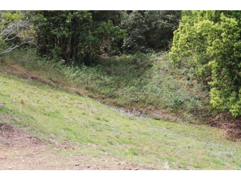 68 Welks Ridge Road, Towen Mountain QLD 4560