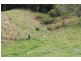 68 Welks Ridge Road, Towen Mountain QLD 4560