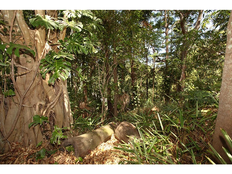 16 Image Flat Road, Nambour QLD 4560