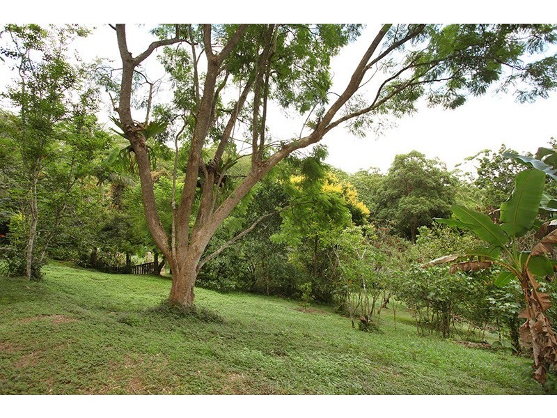 654 Obi Obi Rd, Obi Obi QLD 4574