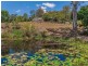 370 Palmwoods Montville Road, Palmwoods QLD 4555