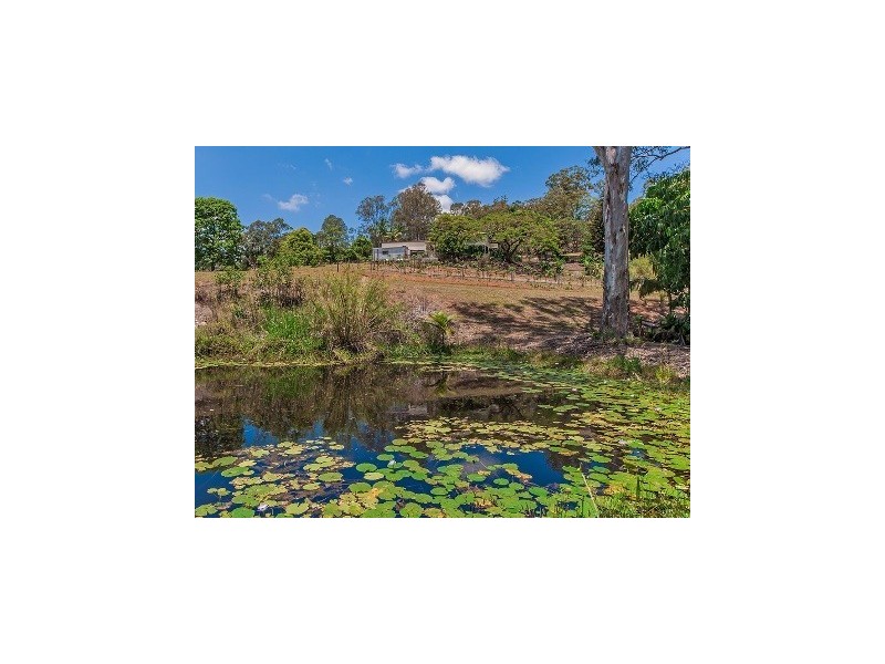 370 Palmwoods Montville Road, Palmwoods QLD 4555