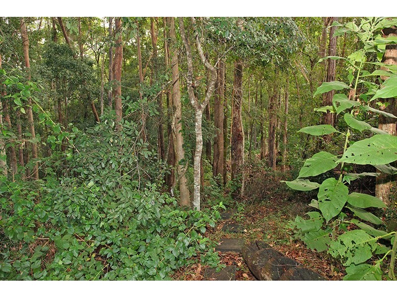 20 Leigha Place, Kureelpa QLD 4560