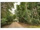 1 Upper Tinarra Close, Maroochy River QLD 4561