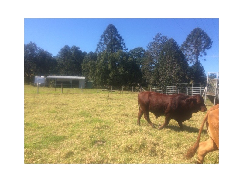 1065 Obi Obi Rd, Obi Obi QLD 4574