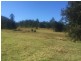 1065 Obi Obi Rd, Obi Obi QLD 4574