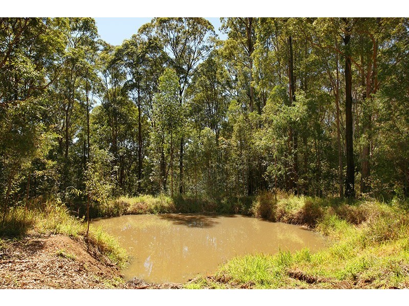 81 Barsons Road, Montville QLD 4560