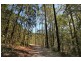 81 Barsons Road, Montville QLD 4560