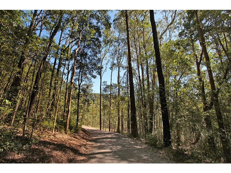 81 Barsons Road, Montville QLD 4560