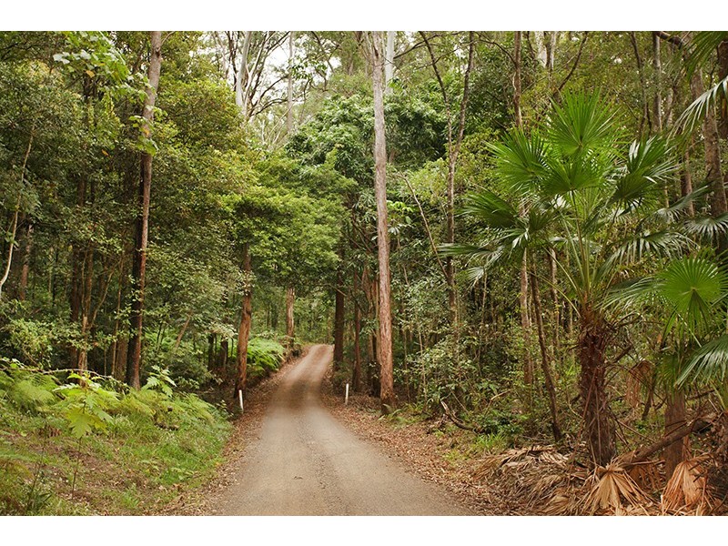 81 Barsons Road, Montville QLD 4560
