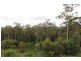 8a Donna Place, Buderim QLD 4556