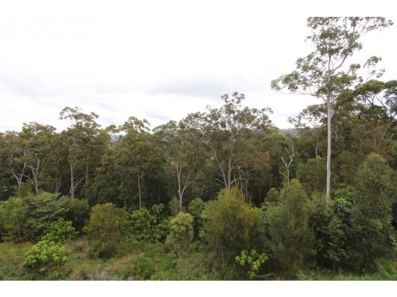 8 Donna Place, Buderim QLD 4556