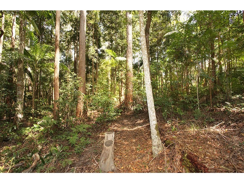 44 Mapleton Forest Road, Mapleton QLD 4560