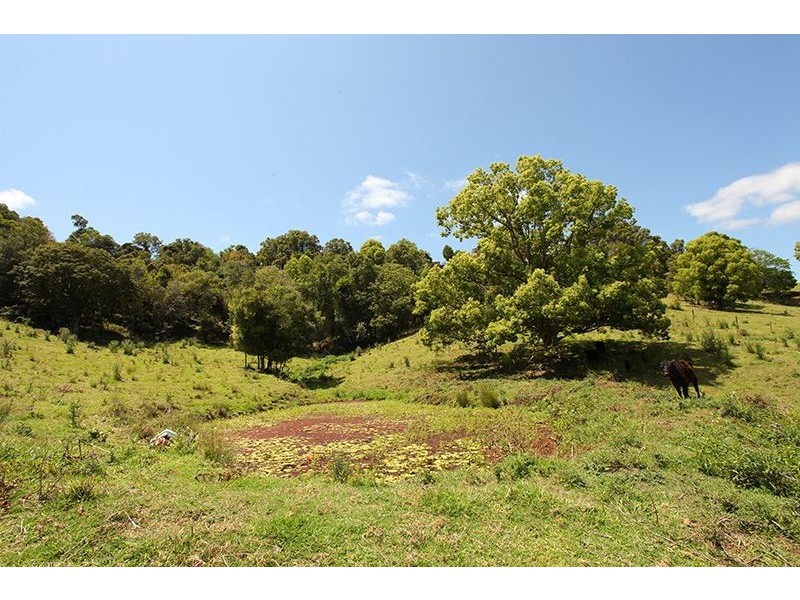 88 Thrushs Road, Nambour QLD 4560