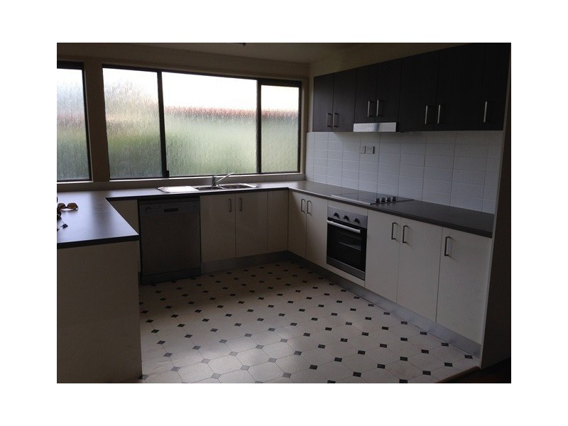 17 North Street, Yandina QLD 4561