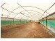 176 Pencil Creek Road, Obi Obi QLD 4574