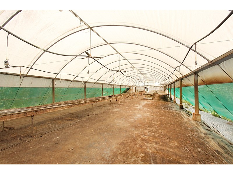 176 Pencil Creek Road, Obi Obi QLD 4574