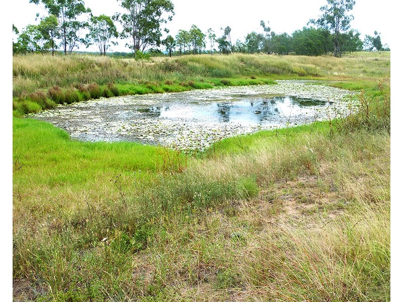90 G Andersons Road, Cushnie QLD 4608