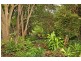 6 Maple Avenue, Mapleton QLD 4560