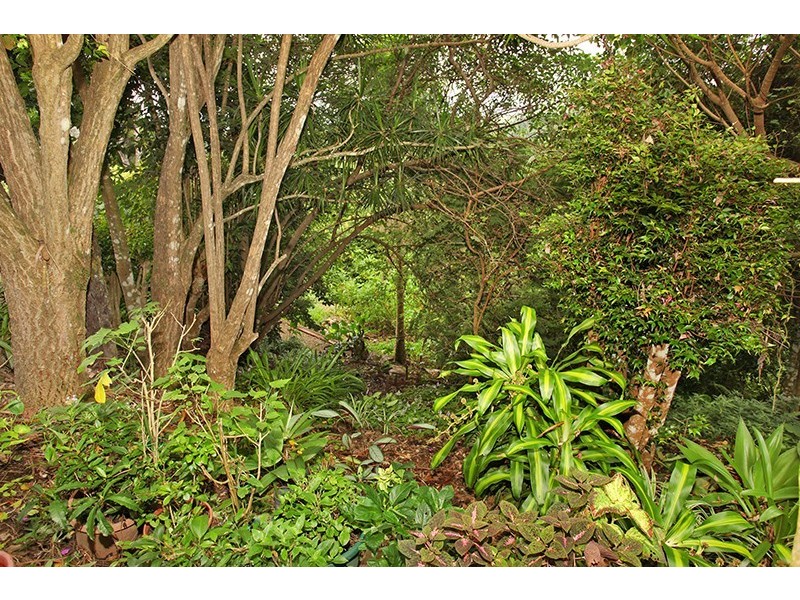 6 Maple Avenue, Mapleton QLD 4560