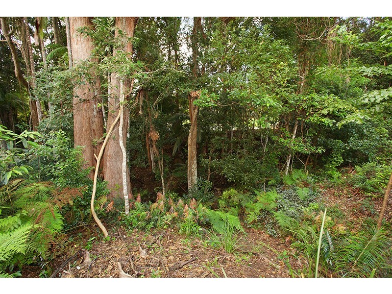 58 Huntingdale Drive, Nambour QLD 4560