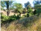 Lot 52, Kingaroy Cooyar Road, Tarong QLD 4615