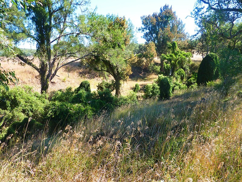 Lot 52, Kingaroy Cooyar Road, Tarong QLD 4615