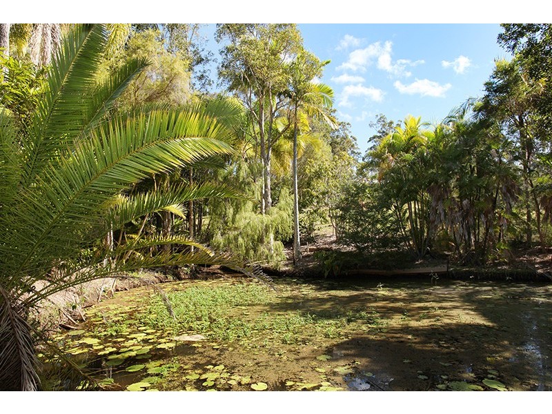 17 Karnu Drive, Ninderry QLD 4561