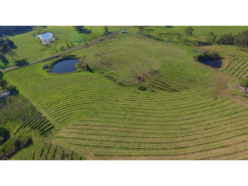 860 Eastern Mary River Rd, Cambroon QLD 4552