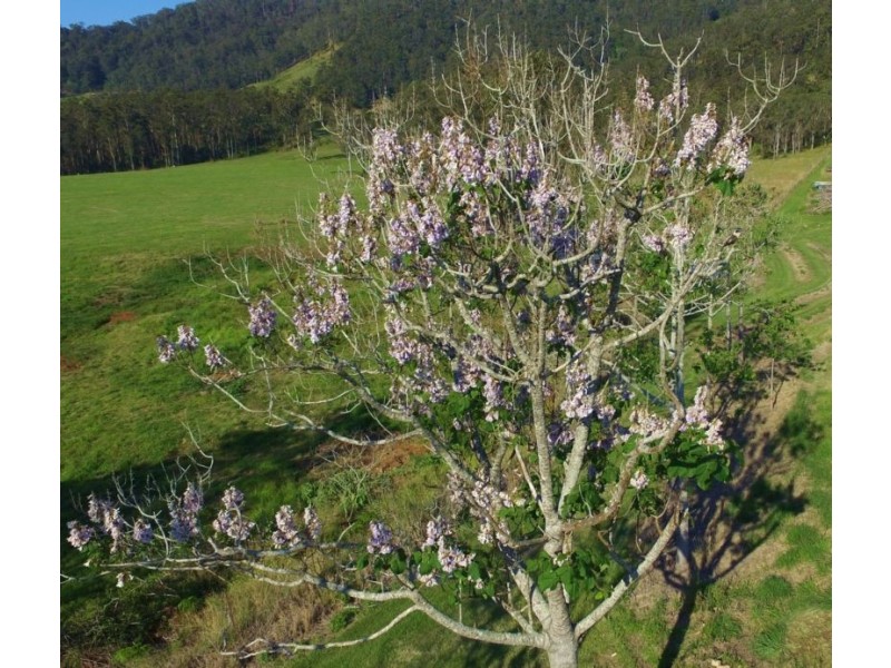 860 Eastern Mary River Rd, Cambroon QLD 4552