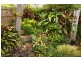 12 Dolphin Drive, Nambour QLD 4560