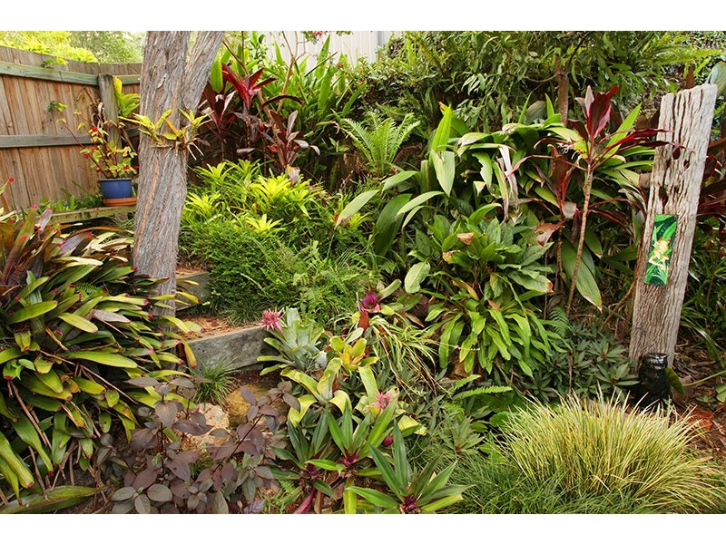 12 Dolphin Drive, Nambour QLD 4560