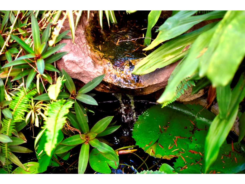 12 Dolphin Drive, Nambour QLD 4560