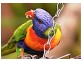 12 Dolphin Drive, Nambour QLD 4560