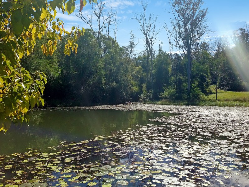 3441 Maleny Kenilworth Road, Kenilworth QLD 4574