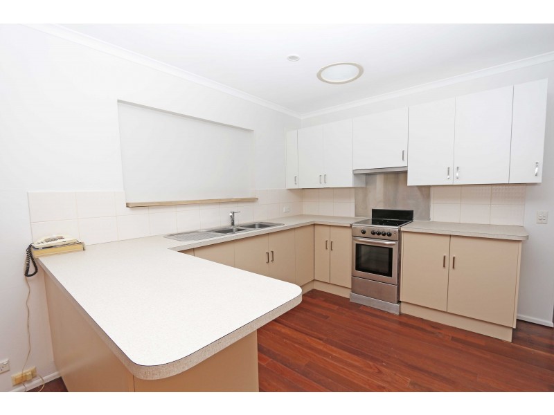 91 Wrigley Street, Maroochydore QLD 4558